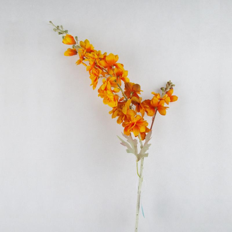 Lewkonia gałązka kwiaty pomarańczowe